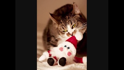 Весела Коледа на Ивет и на всички мой приятели на които нямам възможност да подаря подарък!