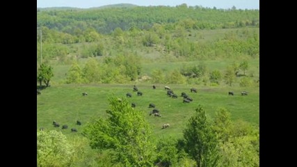 Кирo Проданов - Добър ден, Манде 