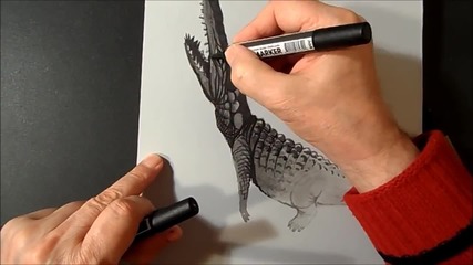 3d Рисуване на крокодил