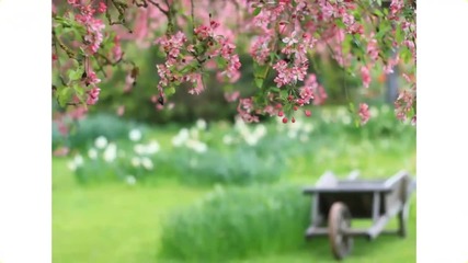 Аромат на пролет...(music Giovanni Marradi)...
