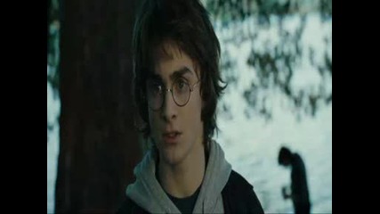 Harry and Hermione - Radar