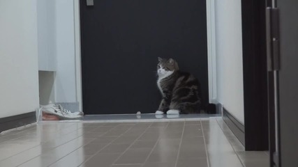 Мару си играе отново