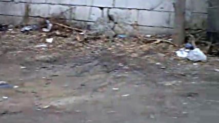 Зелена зона - ул.Богдан 20 /за кой път!?/
