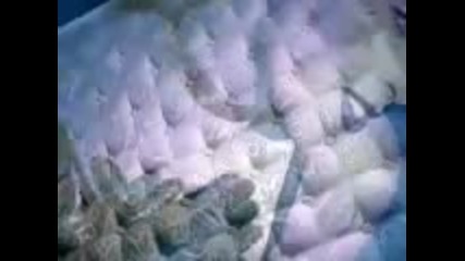 George Michael - Fast Love 
