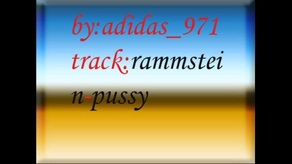 rammstein - pussy