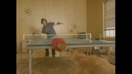 Pingpong С Куче