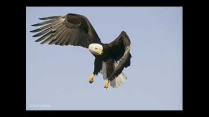 Sabaton - Screaming Eagles 