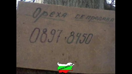 Ето това е нашата родина! - Смях до болка 