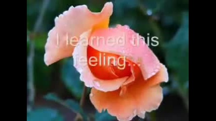A rose in winter