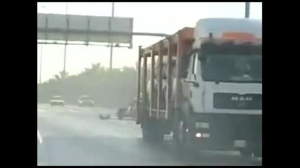 Не опитвайте това на пътя 
