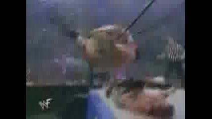Botchamania 19