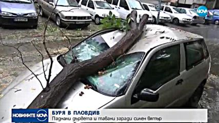 Силна буря в центъра на Пловдив изкорени дървета