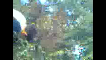 Видео0108