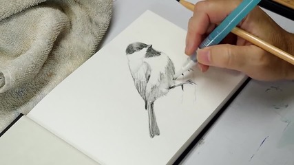 Рисуване на птичка с акварелни моливи