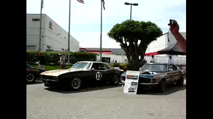 American Muscles 