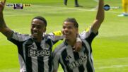 Goal by Newcastle United