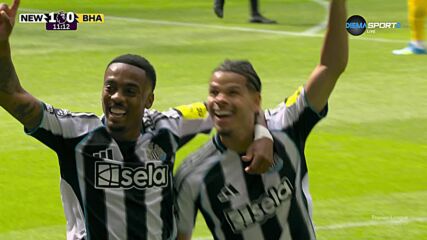 Goal by Newcastle United