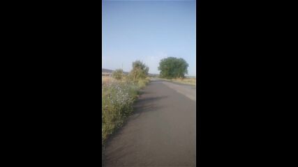 Vid_20230818_081006.mp4