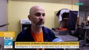 Ще поскъпнат ли яйцата точно преди Великден?