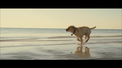 Marley & Me Trailer High Qality Video