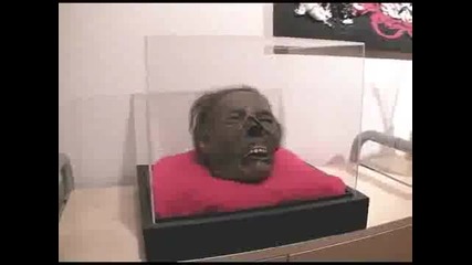 Глава на мумия потресяваща гледка 