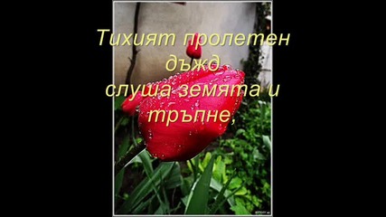 Тихият пролетен дъжд