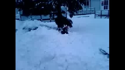 Snejni Izcepki 2