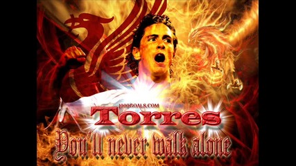 Liverpool - Fernando Torres 