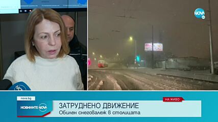 Обилен снеговалеж в София, обстановката е усложнена