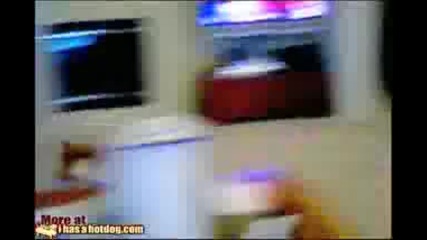 Куче Бързо Като Нинджа