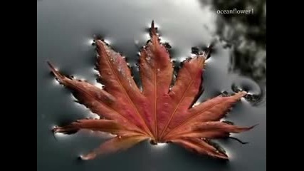 Научи се да бъдеш сам... 