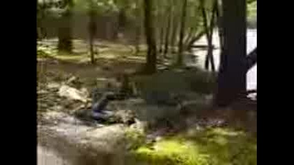 Bill Dance Bloopers