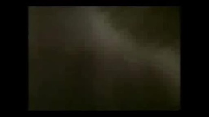 Смешни Котки
