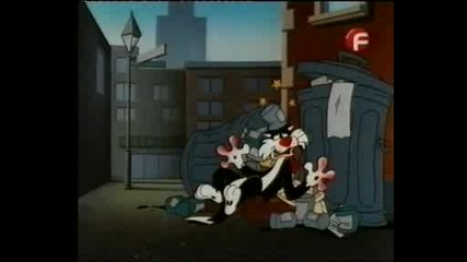 Sylvester And Tweety Mysteries Bg Audio - The Cat Who Knew Too Much 