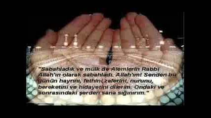 Seydam benim canim benim 