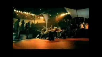 Brook Hogan - About Us