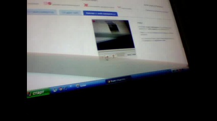 stelaa_2
