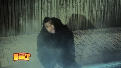 Gorilla Zoe - Day Dreamer