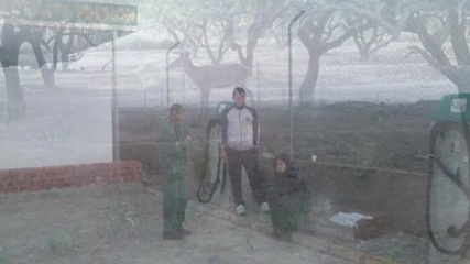 ispaniq