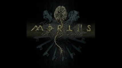 Mortiis - Sensation of Guilt 