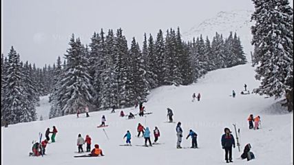 Пламен Вълков