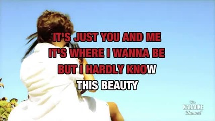 Karaoke - Chris De Burgh - The Lady In Red