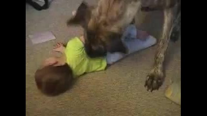 dog attacks baby