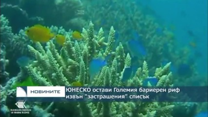 ЮНЕСКО остави Големия бариерен риф извън "застрашения" списък