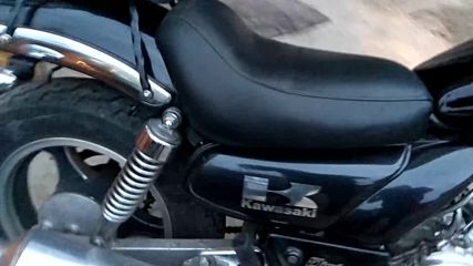 Kawazaki Eiminator 250