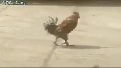 Един малко по-различен войник!