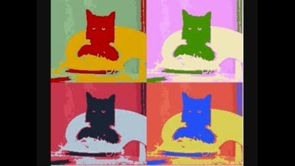 Spaghetti Cat