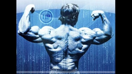 bodybuilding