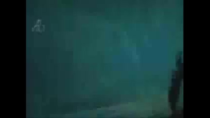 Twilight Eclipse Official Trailer 