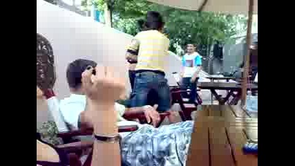Понка пак в храстите